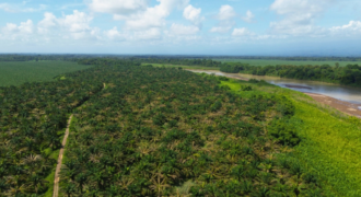Fincas en Puerto Viejo de Sarapiquí