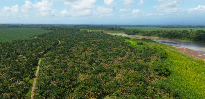 Fincas en Puerto Viejo de Sarapiquí