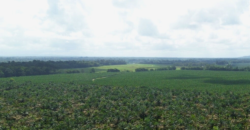 Fincas en Puerto Viejo de Sarapiquí