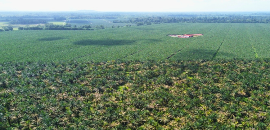 Fincas en Puerto Viejo de Sarapiquí